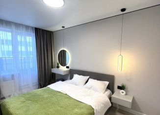 Продаю 2-ком. квартиру, 47.1 м2, посёлок Шушары, Московское шоссе, 256к1