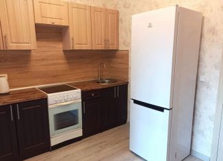 Сдается в аренду 1-ком. квартира, 34 м2, Санкт-Петербург, проспект Ветеранов, 169к2, Красносельский район