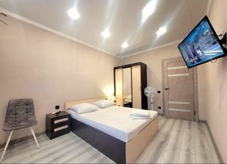 2-ком. квартира в аренду, 100 м2, Пенза, проспект Победы, 97