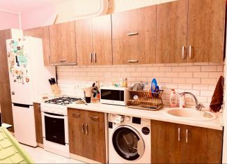 Сдаю в аренду 1-ком. квартиру, 45 м2, Пермь, улица Чкалова, 10