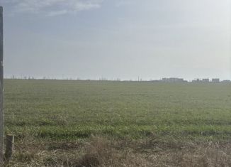 Участок на продажу, 5.1 сот., Молочненское сельское поселение