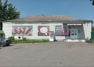 Продам торговую площадь, 291.9 м2, Воронежская область, Малая Советская улица, 42