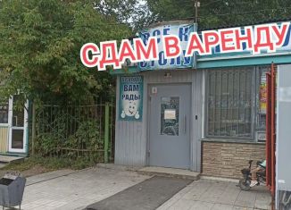 Сдается помещение свободного назначения, 40 м2, Новосибирская область, улица Рогачёва, 4к1