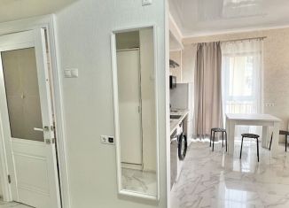 Квартира в аренду студия, 32 м2, посёлок городского типа Дагомыс, улица Гайдара, 20