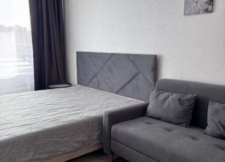 Сдача в аренду квартиры студии, 25 м2, Республика Башкортостан, улица Художника Позднова, 11