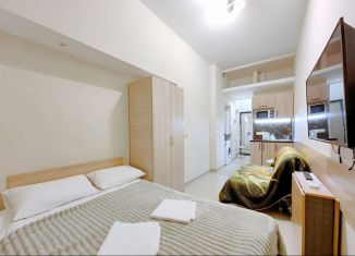 Сдаю в аренду квартиру студию, 21 м2, Санкт-Петербург, Гончарная улица, 10