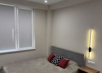 Сдаю квартиру студию, 23 м2, Сочи, улица Яна Фабрициуса, 6/1