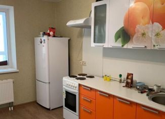 Сдача в аренду 1-комнатной квартиры, 35 м2, Воронеж, Беговая улица, 223/2