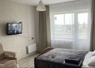 Однокомнатная квартира в аренду, 40 м2, Обь, улица Чкалова, 44