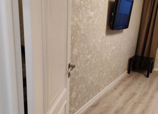 Аренда 1-ком. квартиры, 42 м2, Ростов-на-Дону, 2-я Баррикадная улица, 4с3