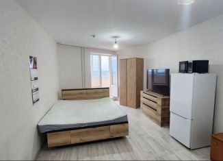 Сдам в аренду квартиру студию, 26.1 м2, Пермь, улица Вильямса, 51А, ЖК Журавли