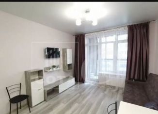 Продам квартиру студию, 28 м2, Воронеж, улица Лётчика Колесниченко, 65А, ЖК Гагаринский