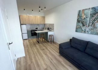 Сдача в аренду однокомнатной квартиры, 35 м2, Санкт-Петербург, проспект Героев, 31, Красносельский район