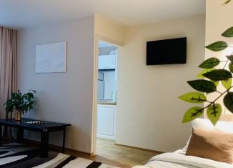 Сдам в аренду двухкомнатную квартиру, 45 м2, Томск, улица Елизаровых, 38