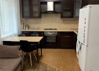 Сдается в аренду 2-ком. квартира, 43 м2, Елабуга, улица Хирурга Нечаева, 11