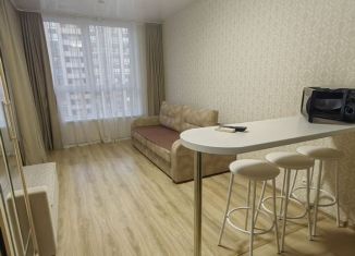 Продается квартира студия, 26 м2, Анапа, Парковая улица, 61к2, ЖК Привилегия