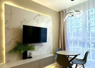 Продается 1-ком. квартира, 24 м2, Сочи, Ясногорская улица, 16/6к2, микрорайон Бытха