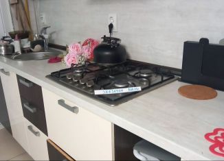 Сдаю таунхаус, 300 м2, Екатеринбург, Связной переулок, 17