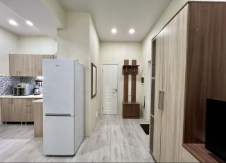 Сдается квартира студия, 25 м2, Сочи, улица Яна Фабрициуса, 2/28А