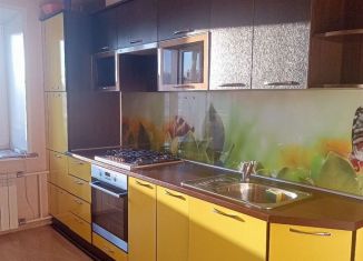 Сдаю в аренду однокомнатную квартиру, 45 м2, Йошкар-Ола, улица Петрова, 27