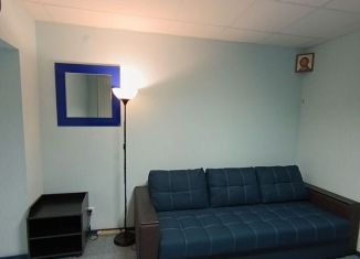 Сдача в аренду трехкомнатной квартиры, 60 м2, Ростов-на-Дону, Искусственная улица, 13