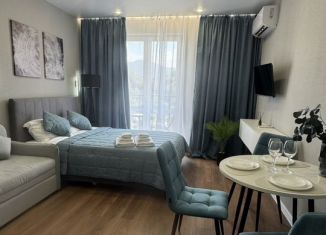 Сдам в аренду квартиру студию, 25 м2, Сочи, улица Искры, 88к6