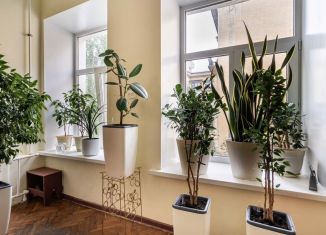 Продам комнату, 27.1 м2, Санкт-Петербург, Гагаринская улица, 34