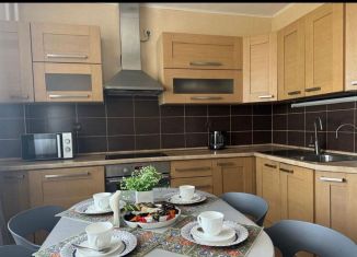 Однокомнатная квартира в аренду, 48.2 м2, Татарстан, Даурская улица, 24А