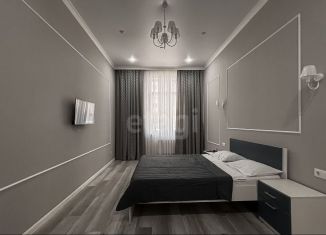 1-комнатная квартира в аренду, 48 м2, Казань, улица Вишневского, 59Ак1