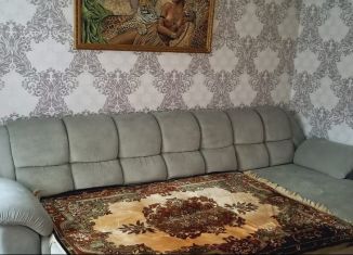 Сдача в аренду 1-ком. квартиры, 22.8 м2, Новосибирск, Дачная улица, 40/2, метро Заельцовская