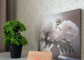 Продам двухкомнатную квартиру, 41 м2, Пермь, улица Гашкова, 53