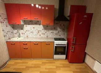 Однокомнатная квартира в аренду, 35 м2, Колпино, Загородная улица, 43к3