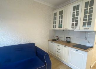 Аренда 1-ком. квартиры, 38 м2, Сочи, Крымская улица, 44А