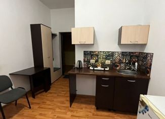 Сдается в аренду 1-комнатная квартира, 20 м2, Ростов-на-Дону, Хопёрский переулок, 57А