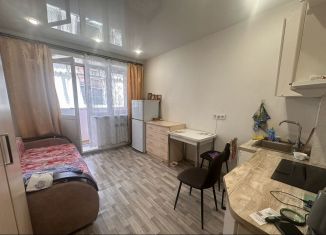 Продажа квартиры студии, 23 м2, рабочий поселок Маркова, микрорайон Берёзовый, 238