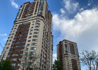 Продаю 1-комнатную квартиру, 43.2 м2, Воронеж, Краснознамённая улица, 57/5