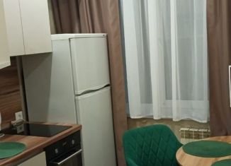 Аренда 1-комнатной квартиры, 32 м2, Новосибирск, улица Федосеева, 36, Октябрьский район