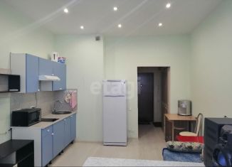 Продается квартира студия, 26 м2, Тюмень, Газопромысловая улица, 8, ЖК Новый Мыс 2.0