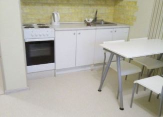 Сдача в аренду квартиры студии, 30 м2, Новосибирск, улица Михаила Кулагина, 35, Октябрьский район