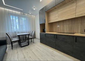 Сдам в аренду однокомнатную квартиру, 42 м2, Казань, улица Сибгата Хакима, 52