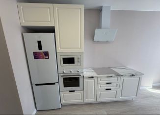 Сдается в аренду 2-ком. квартира, 60 м2, Ростов-на-Дону, улица Ларина, 45с6