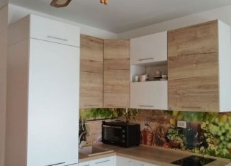 Аренда квартиры студии, 29 м2, Котельники, микрорайон Новые Котельники, 2