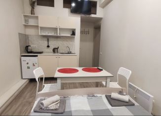 Сдаю квартиру студию, 14 м2, Санкт-Петербург, Каменноостровский проспект, 81к2