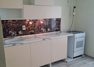 1-ком. квартира в аренду, 32 м2, Пенза, улица Ревунова