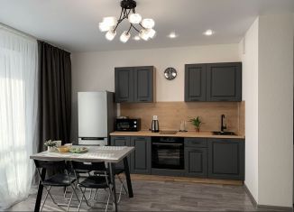 Сдается однокомнатная квартира, 43 м2, Свердловская область, улица Академика Парина, 13/3