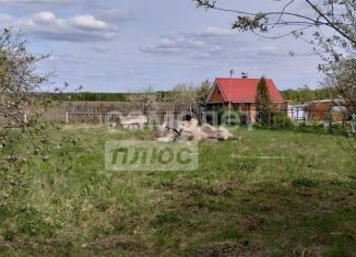 Продам земельный участок, 11 сот., деревня Шалангуш, улица Шалангуш, 51