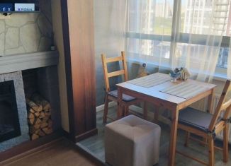 Аренда квартиры студии, 24.4 м2, Мурино, Екатерининская улица, 2, ЖК Виктория