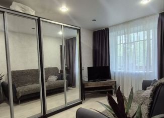 Сдается двухкомнатная квартира, 48 м2, Березники, улица Челюскинцев, 87