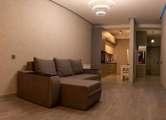 Аренда 1-ком. квартиры, 30 м2, Краснодар, улица Селезнёва, 96, микрорайон Черемушки