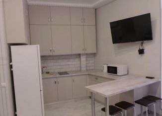 Продается квартира студия, 12.4 м2, Москва, Измайловский проспект, 45с2, ВАО